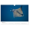 Highlights from the Sea Diving Calendar (Wall Calendar 2026 DIN