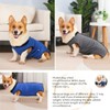 LAROTSUBA Dog Surgery Recovery Suit,Abdominal Surgical Suit for Dogs,Recovery Suit