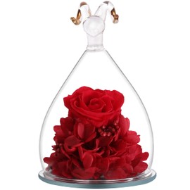 Hoomma Aries 12 Constellations Preserved Flowers Birthday Valentine's Day Mothers Day Thanksgiving Eternal Rose Gift for Women Sister Teacher Mom Grandma Wife Girlfriend