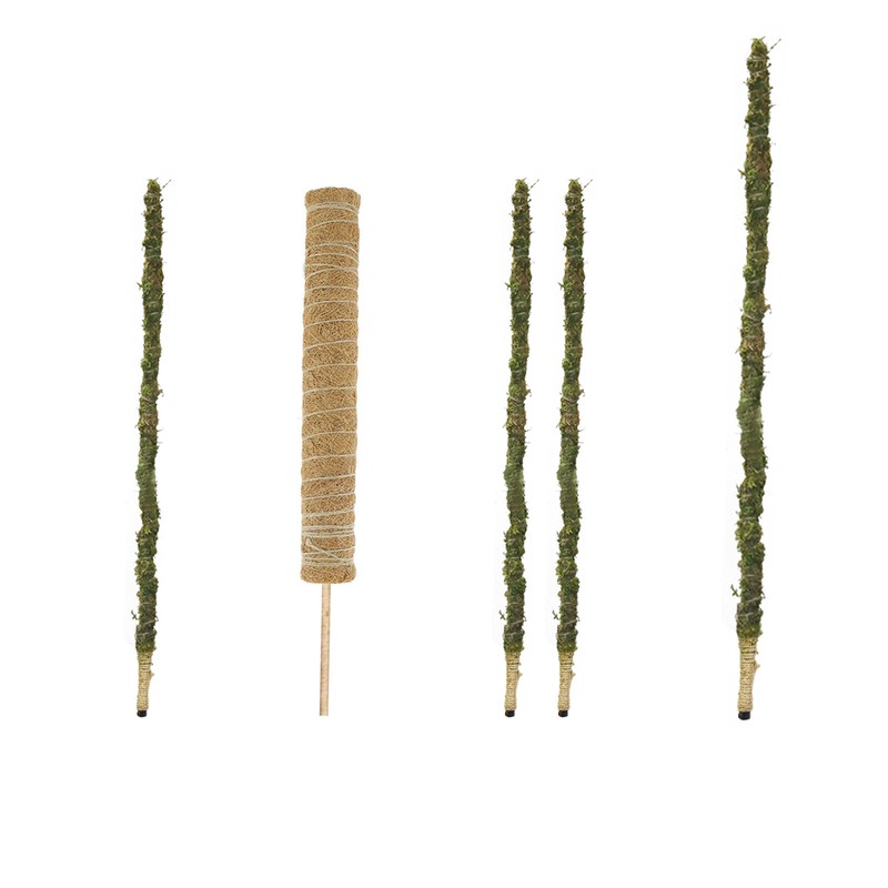 Moss Pole Coconut Stick DIY Modeling Plant Climbing Pole Climbing