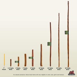 Redbarn 12" Bully Sticks for Dogs, Wrapped & Tagged Pet Chew Treat (Pack of 1)