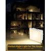 JandCase Night Lights Plug into Wall 2 Pack, Plug in