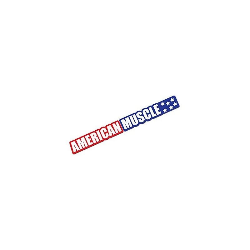 American Muscle 3 Color Windshield Banner Decal Sticker 23"
