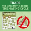 Triple Strength Clothes Moth Traps – Safe, Non-Toxic Closet Moth