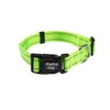 Alpha Pak | Dog Collar | Lightweight, Fast-Drying, Durable |