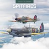 Red Robin 2025 Spitfires Monthly Wall Calendar | 12" x