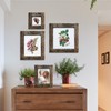 IKEREE 5x7 Rustic Picture Frames with Real Bark, Made of