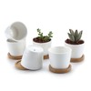 T4U Succulent Planters, Pots with Bamboo Saucers, Rectangular Ceramic Cactus
