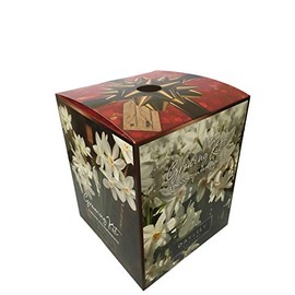 Quaint Paperwhite Growing Kit, Includes 5 Paperwhite Bulbs, a Plastic Pot and Saucer, and Professional Growing Medium