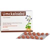 Umckaloabo 20 mg Filmtabletten, 60 St. Tabletten