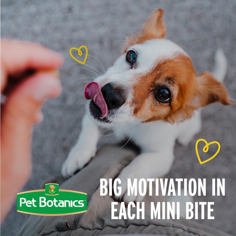 Pet Botanics Training Rewards Mini Treats For Dogs, Bacon, 4