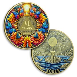 6 Year Sobriety Coin Sunflower Six Year Sobriety Coins Butterfly AA Chips and Medallion One Day at A Time AA NA Coin Recovery Anniversary Token Sobriety Gifts for Men Women Alcoholics Anonymous Gift