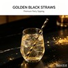 Paper Straws Biodegraddable (Black Gold Striped)