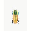 3D Madagascar Bette Strudio Roof Beetle