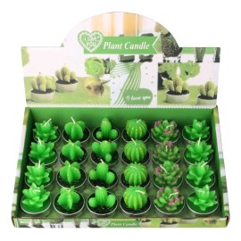Vela Perfumada Con Diseño De Cactus En Maceta, 24 Piezas