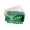 Floraworld 011517 Indoor Greenhouse Small Classic Green 20 x 15