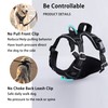 Funfox No Pull Dog Harness for Large Dogs, Adjustable Dog