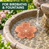 2-Pack Copper Bird Bath Disks with Triple-Point Support, 3.94 Inch
