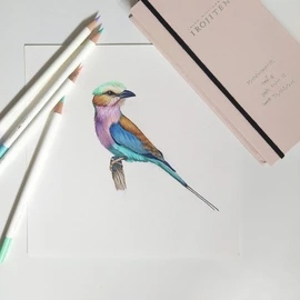 Tombow CI-RTC Colored Pencils, 30 Colors (Book Type), Color Dictionary, Episode 3 (30 Shiny Fluorescent Colors)
