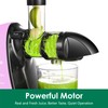 Slow Masticating Juicer,Brecious Cold Press Juicer with 2 Speed Modes
