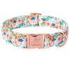 Babole Pet Floral Dog Collar - Cute Summer Flowers Dog