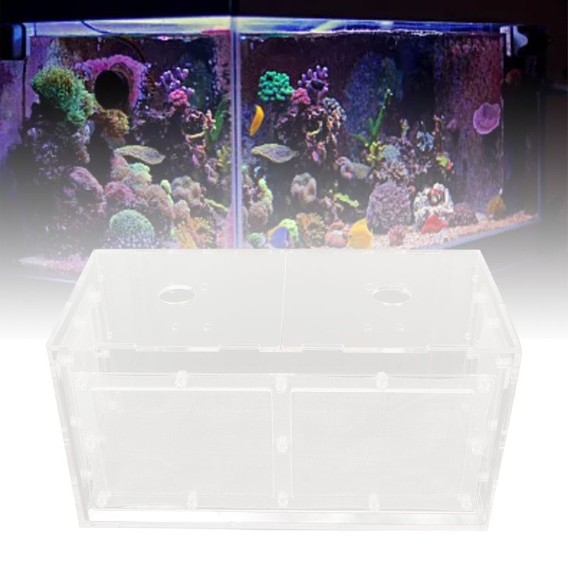 Fish Breeding Isolation Box Transparent Mesh Side Fish Tank Incubator