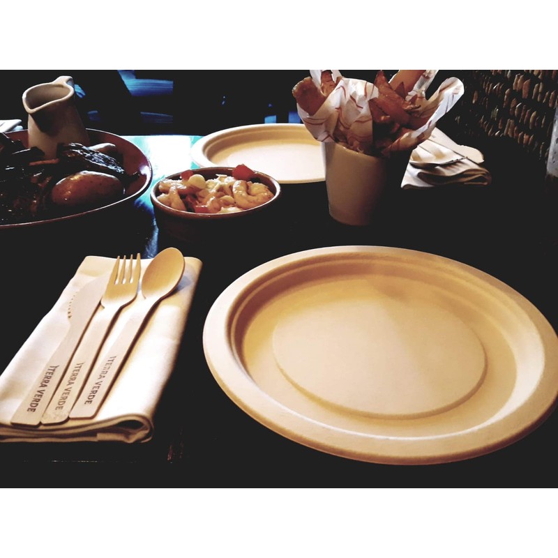 Disposable Bamboo Fibre Paper Plates l 10 inch (25cm) Round