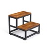 LIANTRAL 2 Step Stool for Adults Kids, Heavy Duty Sturdy