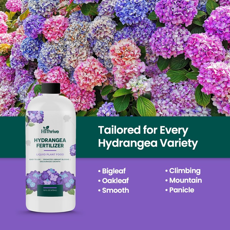 Hydrangea Fertilizer for Lush Growth, Strong Stems & Vibrant Blooms,