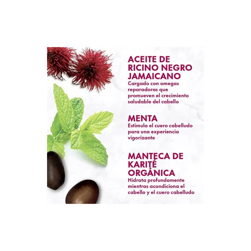 Acondicionador Shea Moisture Jamaica Castor Oil 384 Ml
