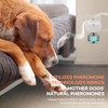 ProElobara Dog Calming Pheromone Diffuser: Dog Calming Pheromones Plug Diffuser