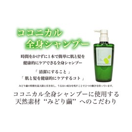 Silk Life Laboratories Coconical Whole Body Shampoo, 16.9 fl oz (500 ml), No Petroleum Surfactants