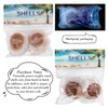 Hermit Crab Shells Natural Hermit Crab Growth Shells Hermit Crab