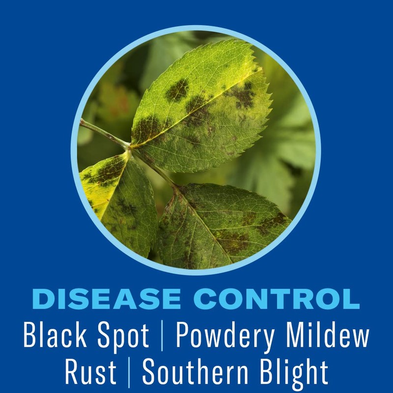 BioAdvanced Shrub Care Protect & Feed, Granules, 4 lb.