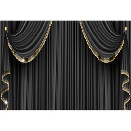 Xiaoterna 2.5 x 1.8 m 3D Black Curtain Background VIP Customer Awards Photo Background Black Gold Glitter Tassel Backdrop Birthday Party Decoration Adult Portrait Photo Studio Props