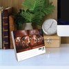 Willow Creek Press Basset Hounds Daily 2025 Box/Desk Calendar (5.86"