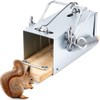Qualirey 1 Pcs Tube Trap Squirrel Trap Outdoor Safe and