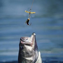 Fly Fishing Lures Kit - Fishing Lures for Bass - Swim Baits Lures Bass, Fishing Stuff, Hand-Tied, Realistic Design for Men A Wide Range of Waters