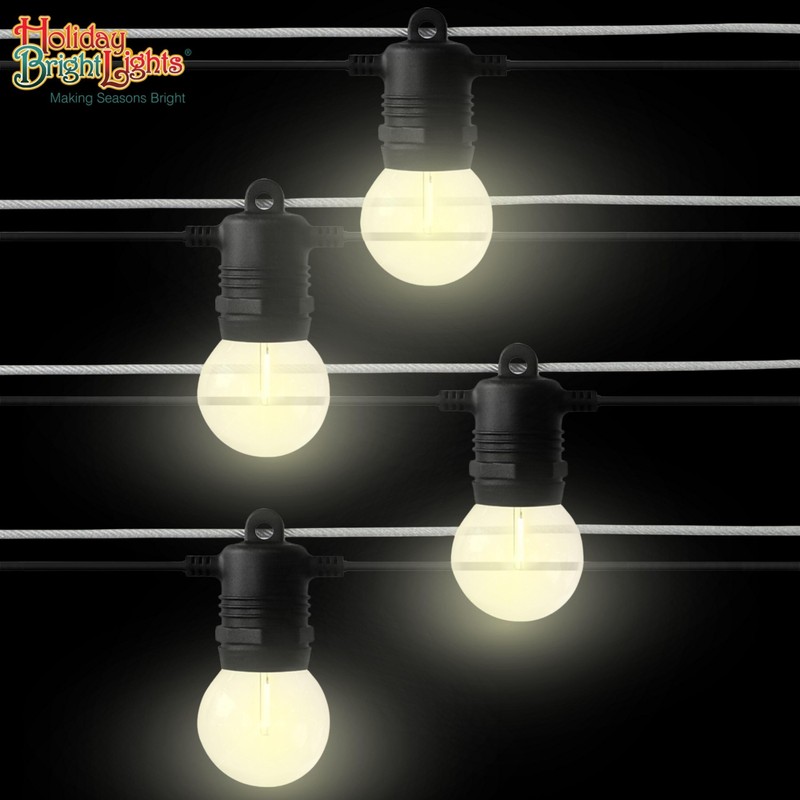 Holiday Bright Lights Belle Luci G40 String Lights 15-Bulb Set,