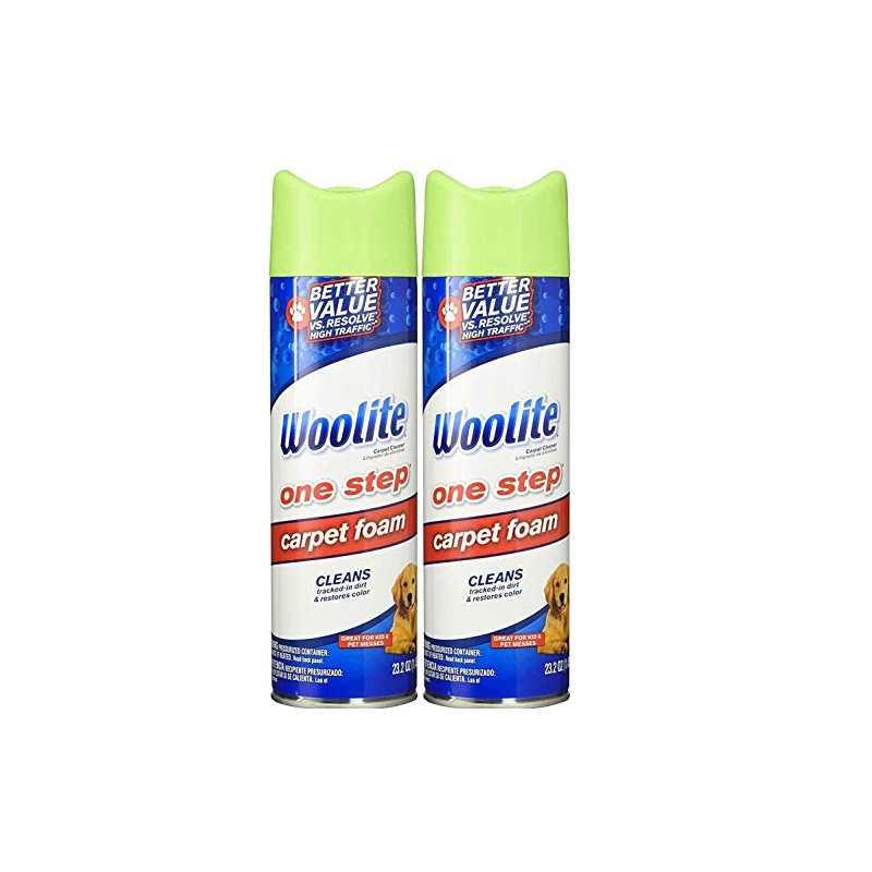 Woolite One Step Foam Carpet Cleaner - 22 oz -