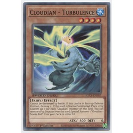 Cloudian - Turbulence - SGX3-ENH07 - Common - 1st Edition