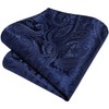 Enlision Mens Navy Paisley Tie and Pocket Square with Tie