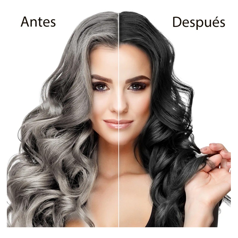 Shampoo Con Tinte De Cubre Canas Natural Jengibre 500ml