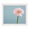Large Drawing Frame 5590N Inch Pearl White UV Protection Acrylic