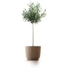 Tymar Flower Pot, Planter, Pack of 2, Plastic Flower Pot,