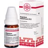 DHU Argentum Metallicum D12 Spreading Balls 10 g Globules