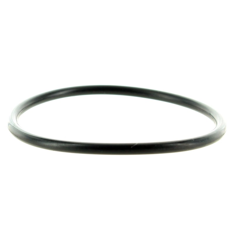 Can-Am New OEM Spyder Gearbox Housing Assembly Rubber O-Ring, 420831160