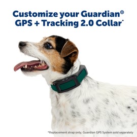 PetSafe Replacement Strap for Guardian GPS 2.0 Dog Fence + Tracking Collar, Made with Soft-Touch Nylon for Enhanced Comfort and Long-Lasting Wear - Water-Wicking, Waterproof Material, Green