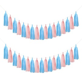 Mefuny 20PCS Gender Reveal Tissue Paper Tassel Banner Baby Pink Blue Tissue Garland for Gender Reveal Party Decorations Boy or Girl Baby Shower Decorations Pink and Blue Decorations