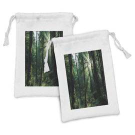 Ambesonne Nature Fabric Pouch Set of 2, Sunset in Woods Sun Beaming Through Forest Trees Wilderness Scenery, Small Drawstring Bag for Toiletries Masks and Favors, 9" x 6", Forest Green Pale Yellow